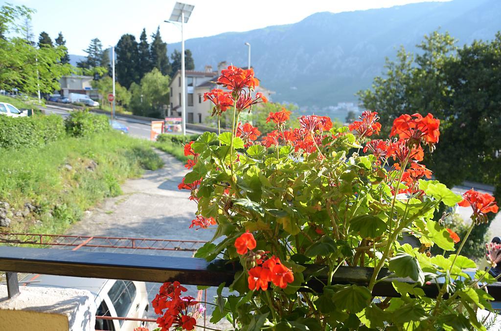 Apartment Luka Kotor Bagian luar foto